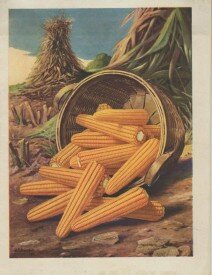 Corn Products c.1912